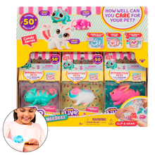 Load image into Gallery viewer, Moose Toys - Little Live Pets Needees