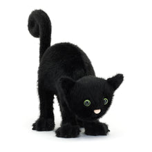 Load image into Gallery viewer, Plush - Spookipaws Cat
