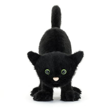 Load image into Gallery viewer, Plush - Spookipaws Cat
