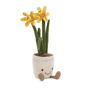 Amusable - Daffodil